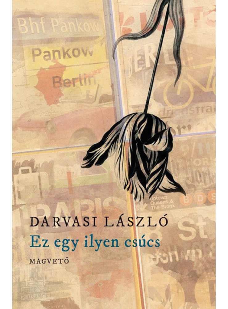 Ez egy ilyen csúcs (ekönyv) Ez egy ilyen csúcs (ekönyv)