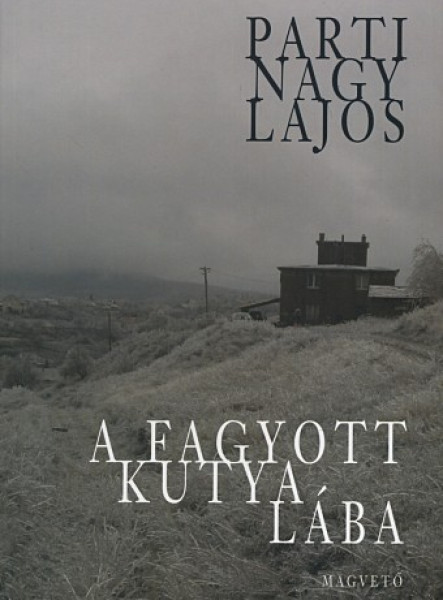 A fagyott kutya lába (ekönyv)
