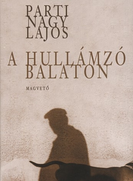A hullámzó Balaton (ekönyv)