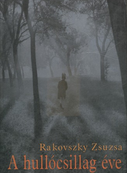 A hullócsillag éve (ekönyv)