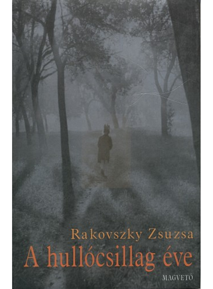 A hullócsillag éve (ekönyv)
