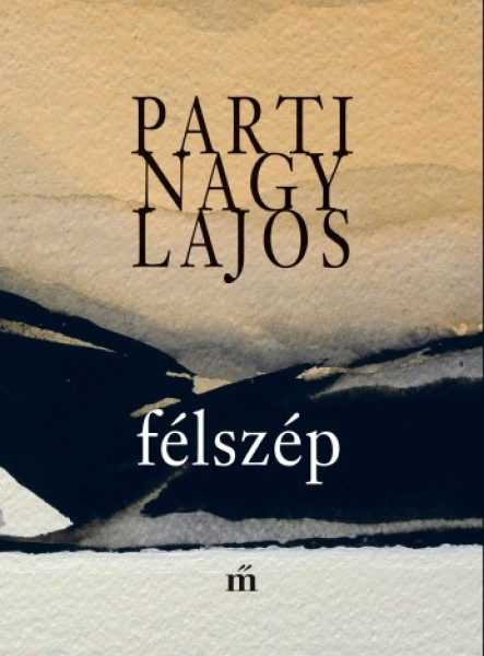 Félszép (ekönyv)