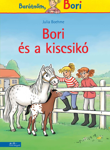 BORI ÉS A KISCSIKÓ (BORI REGÉNY 20.)