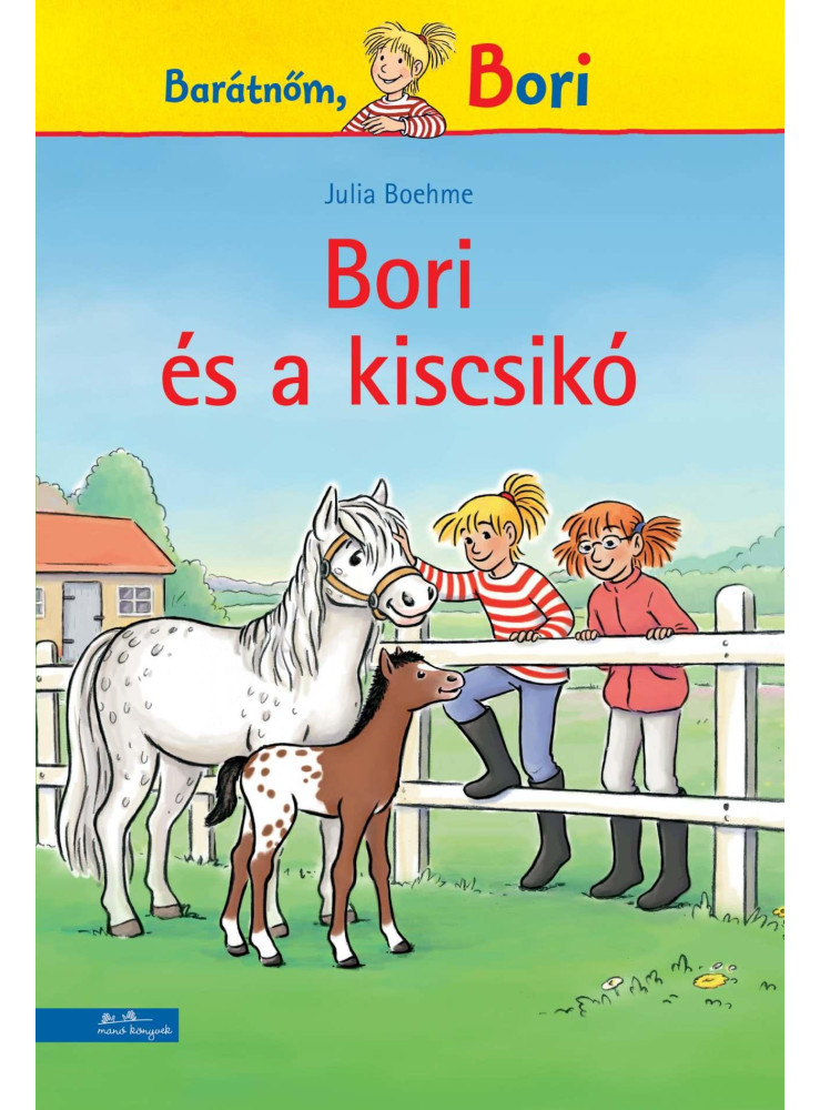 BORI ÉS A KISCSIKÓ (BORI REGÉNY 20.)