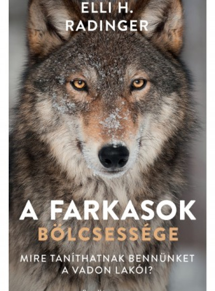 A farkasok bölcsessége - Mire taníthatnak bennünket a vadon lakói? (ekönyv)