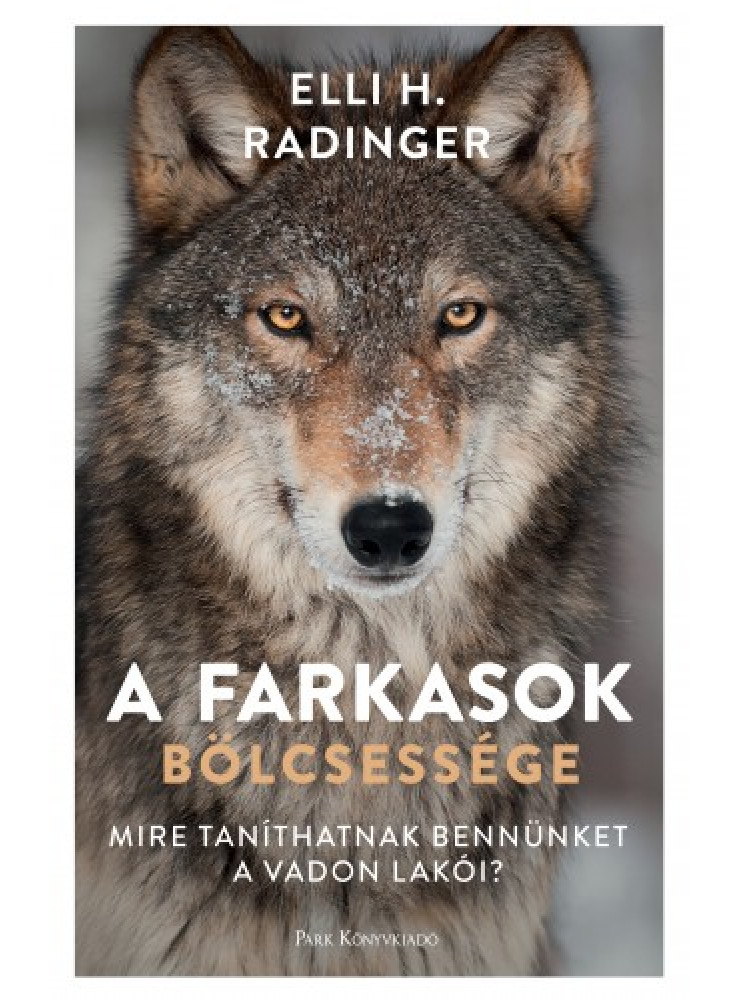 A farkasok bölcsessége - Mire taníthatnak bennünket a vadon lakói? (ekönyv) A farkasok bölcsessége - Mire taníthatnak bennünket a vadon lakói? (ekönyv)