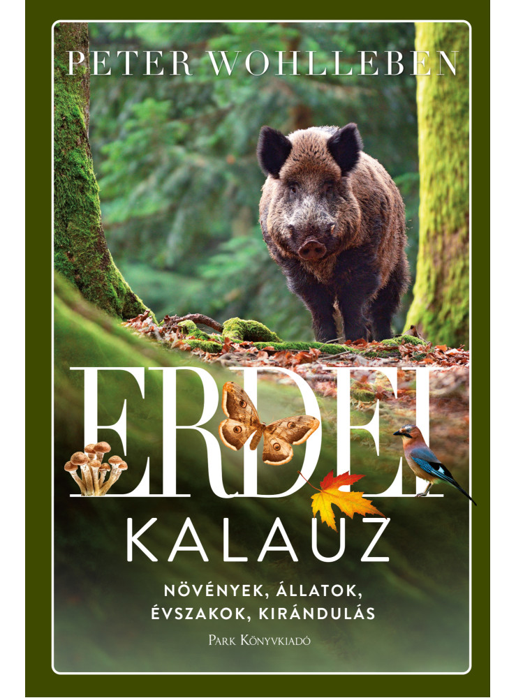 Erdei kalauz (ekönyv) Erdei kalauz (ekönyv)