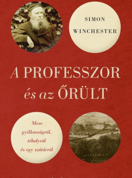 A professzor és az őrült - Mese gyilkosságról, tébolyról és egy szótárról (ekönyv)