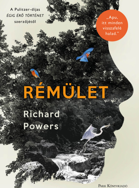 Rémület (ekönyv)