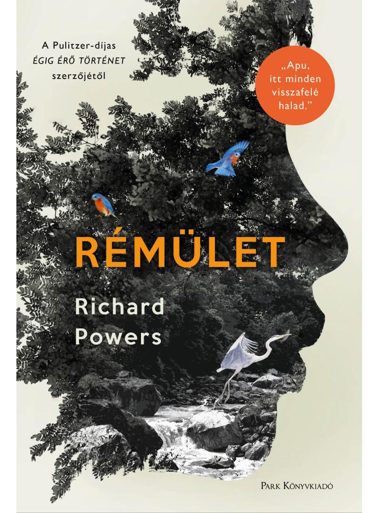 Rémület (ekönyv)