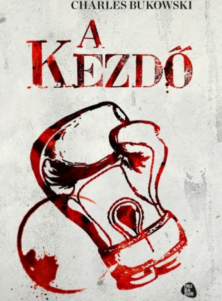 A kezdő (ekönyv)