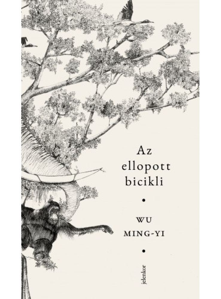 Az ellopott bicikli (ekönyv)