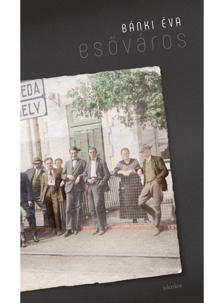 Esőváros (ekönyv)