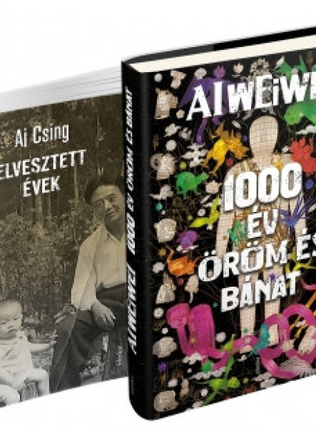 1000 ÉV ÖRÖM ÉS BÁNAT; ELVESZTETT ÉVEK