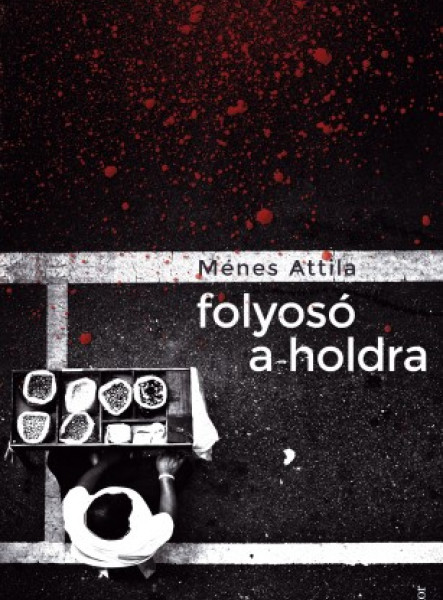 Folyosó a holdra (ekönyv)