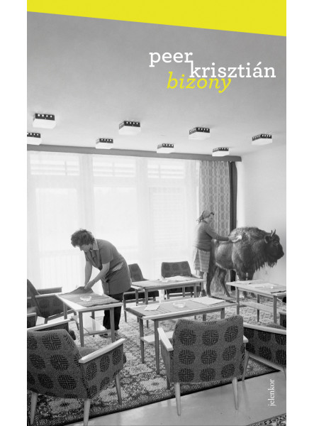 Bizony (ekönyv)