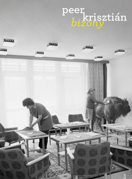 Bizony (ekönyv)