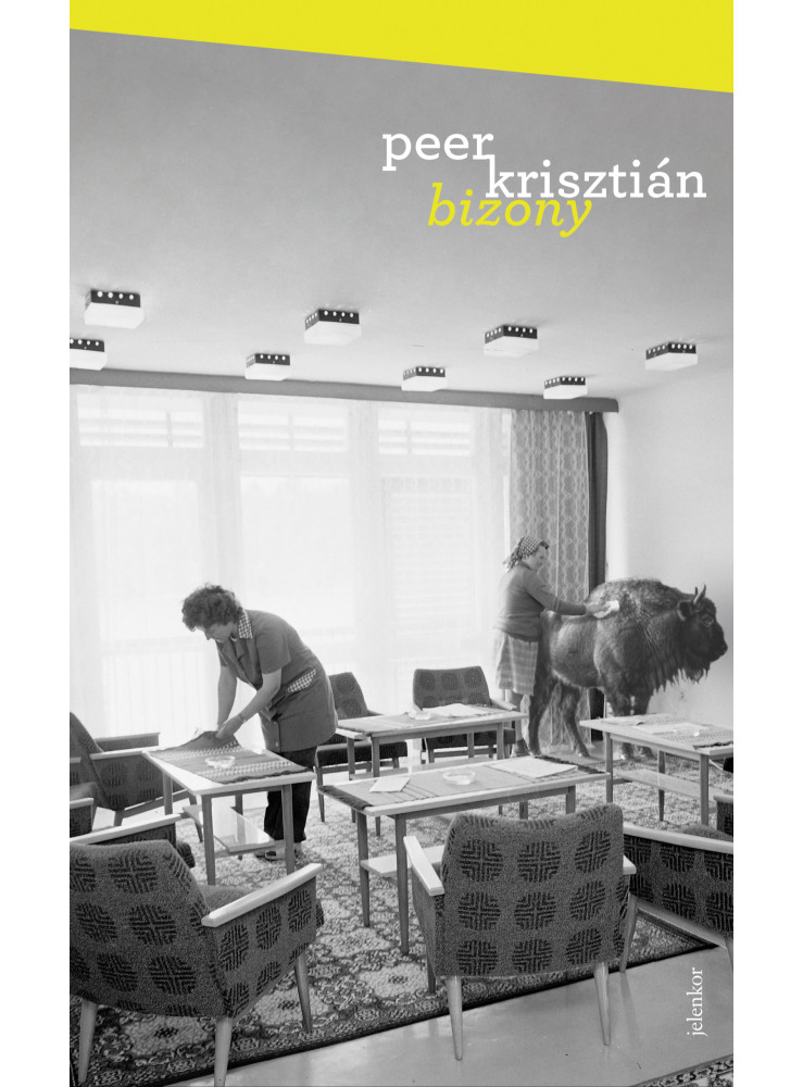 Bizony (ekönyv) Bizony (ekönyv)
