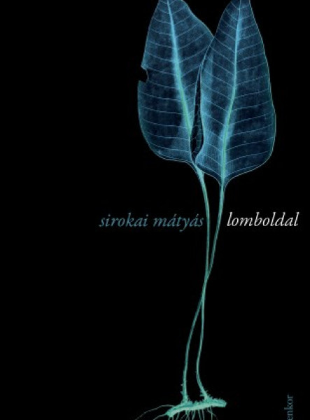 Lomboldal (ekönyv)