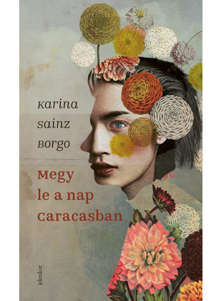 Megy le a nap Caracasban (ekönyv)