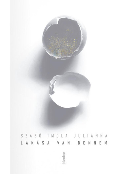 Lakása van bennem (ekönyv)
