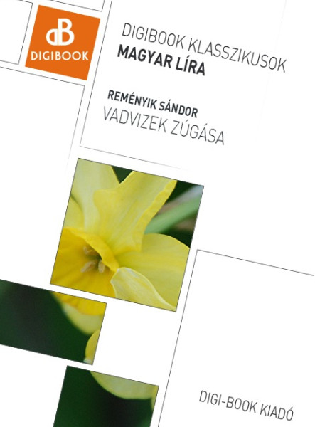 Vadvizek zúgása (ekönyv)