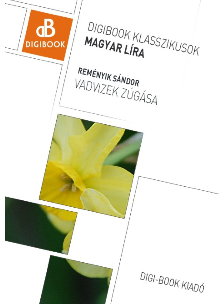 Vadvizek zúgása (ekönyv)