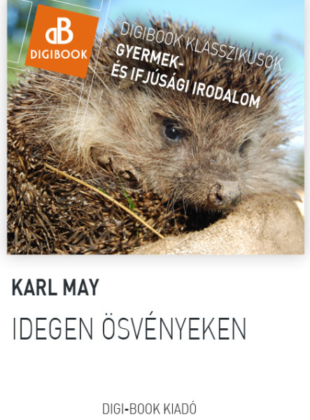 Idegen ösvényeken (ekönyv)