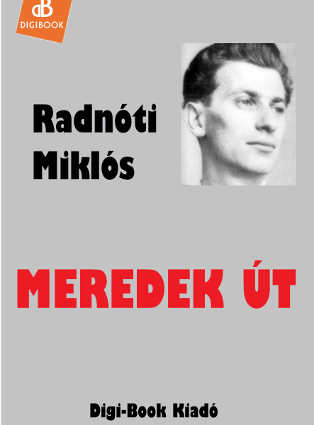 Meredek út (ekönyv)