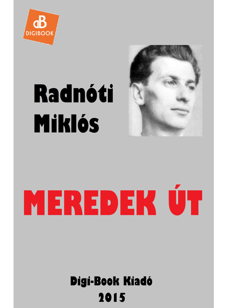 Meredek út (ekönyv)
