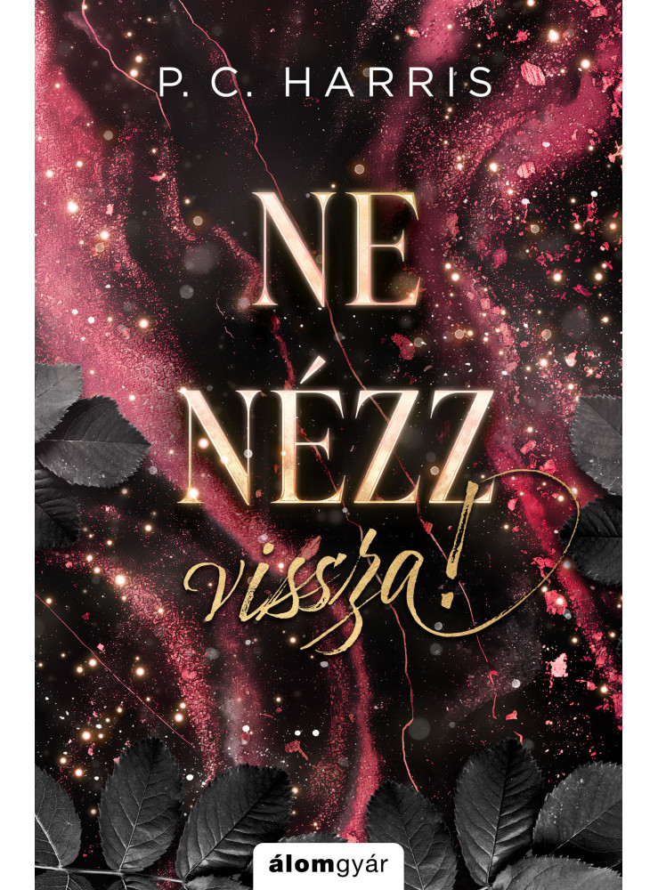 Ne nézz vissza! (ekönyv) Ne nézz vissza! (ekönyv)