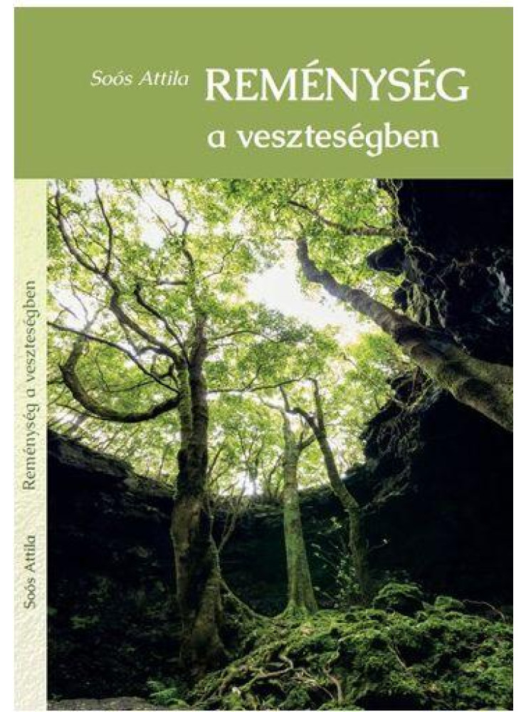 REMÉNYSÉG A VESZTESÉGBEN