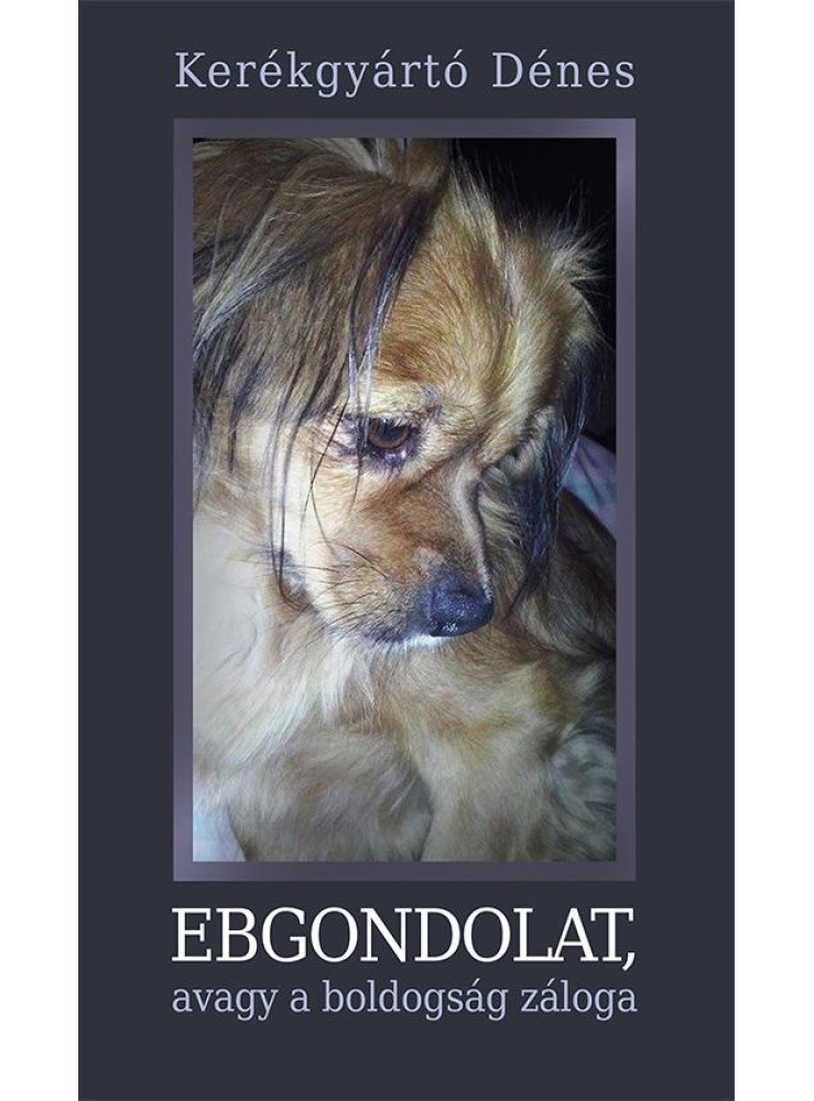 EBGONDOLAT, AVAGY A BOLDOGSÁG ZÁLOGA EBGONDOLAT, AVAGY A BOLDOGSÁG ZÁLOGA