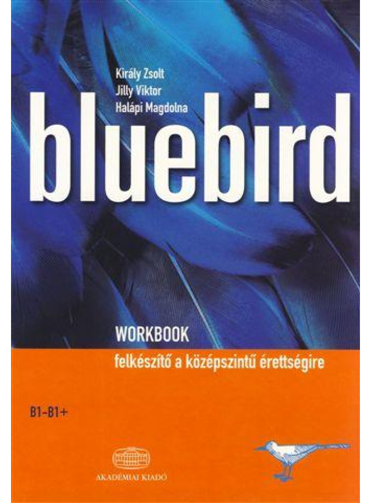 BLUEBIRD WORKBOOK B1-B1+ BLUEBIRD WORKBOOK B1-B1+
