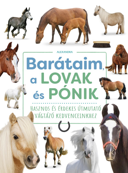 BARÁTAIM, A LOVAK ÉS PÓNIK