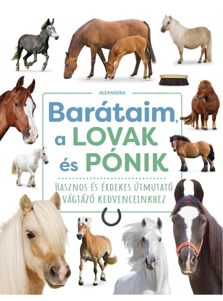 BARÁTAIM, A LOVAK ÉS PÓNIK BARÁTAIM, A LOVAK ÉS PÓNIK