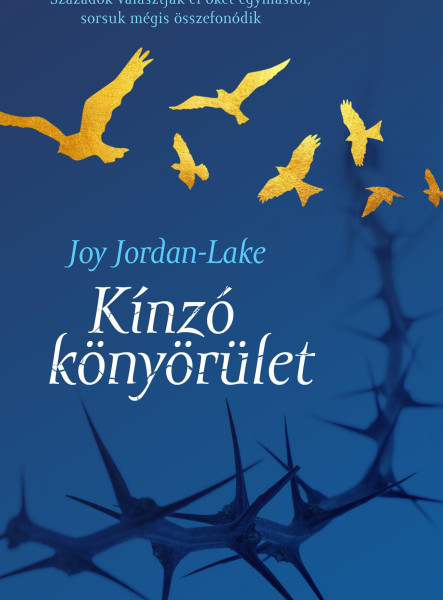 KÍNZÓ KÖNYÖRÜLET