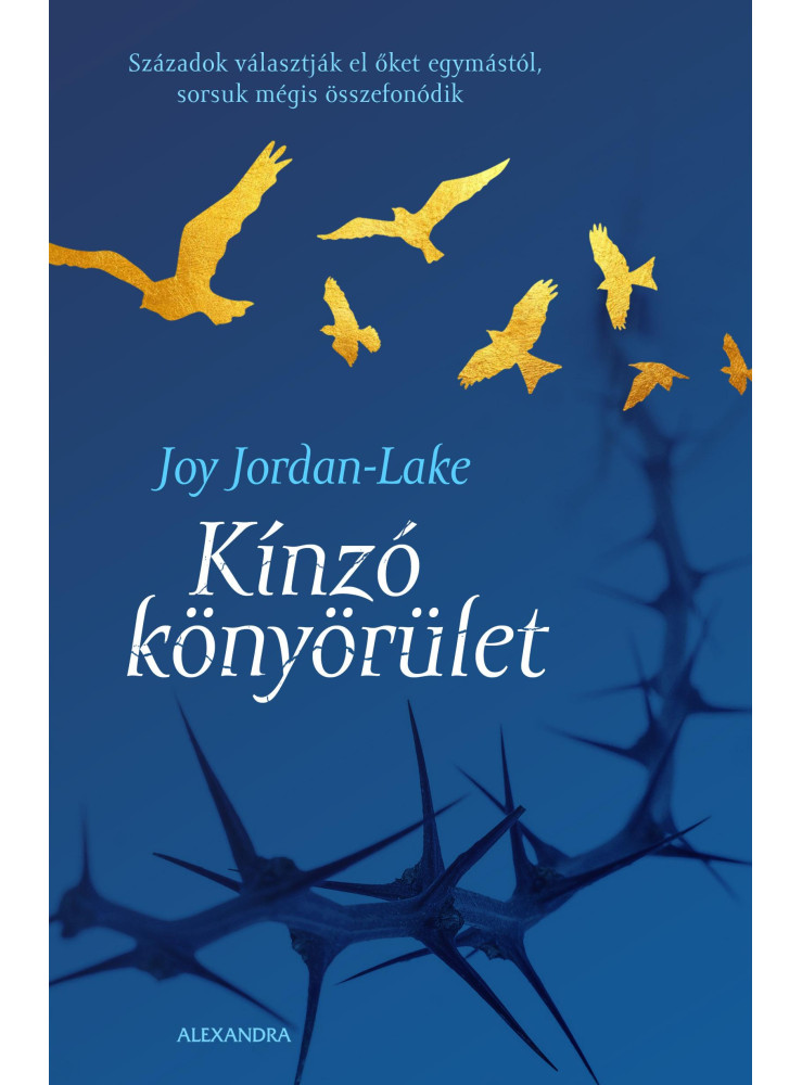 KÍNZÓ KÖNYÖRÜLET KÍNZÓ KÖNYÖRÜLET