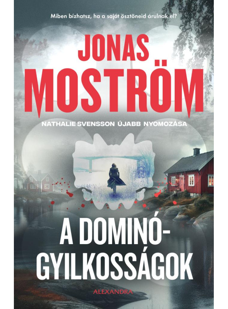 A DOMINÓGYILKOSSÁGOK - NATHALIE SVENSSON ÚJABB NYOMOZÁSA