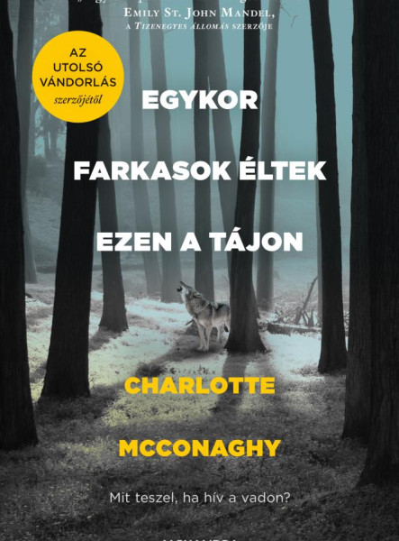 EGYKOR FARKASOK ÉLTEK EZEN A TÁJON