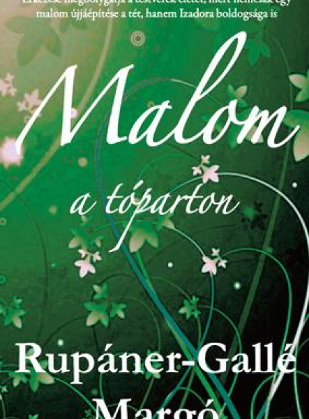 MALOM A TÓPARTON