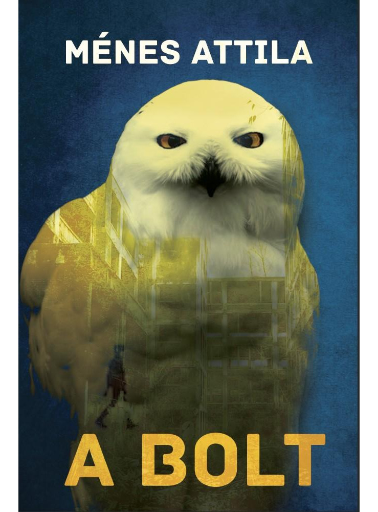 A BOLT