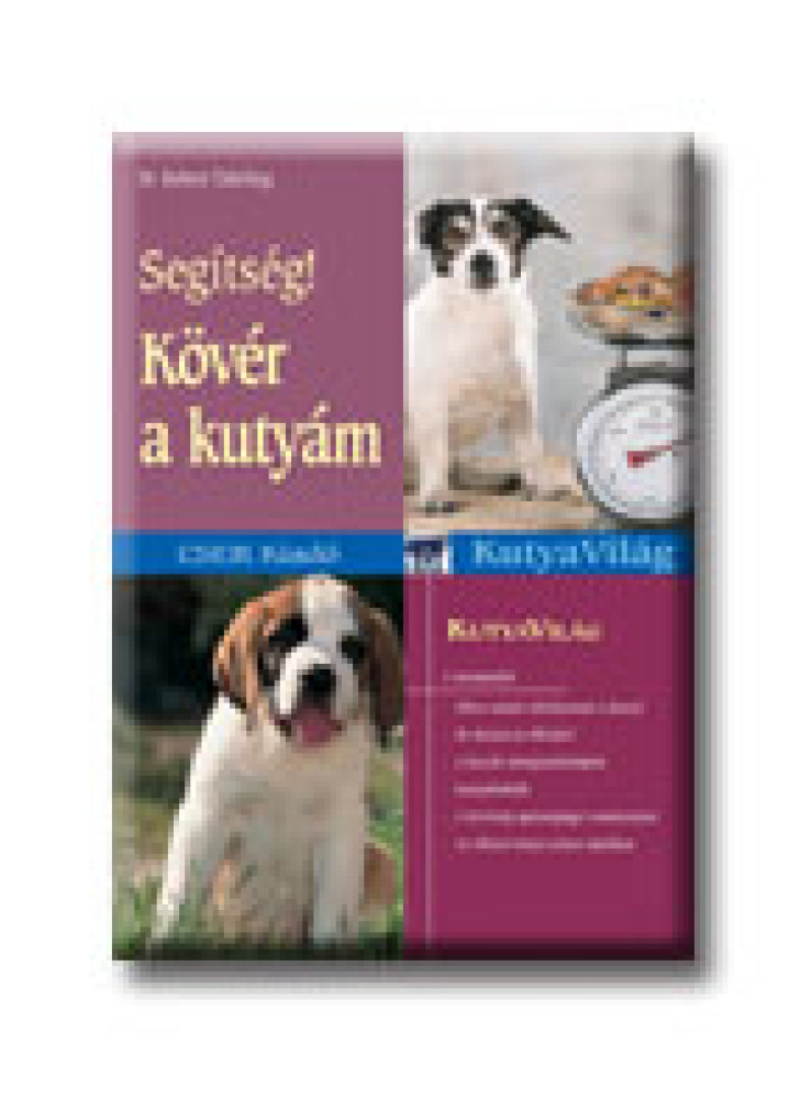 SEGITSÉG! KÖVÉR A KUTYÁM - KUTYAVILÁG -
