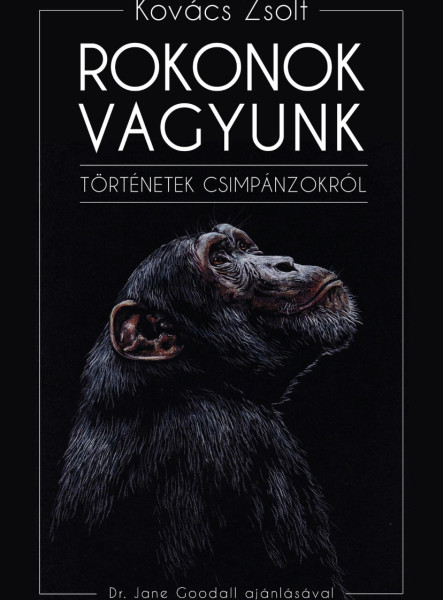 ROKONOK VAGYUNK- TÖRTÉNETEK CSIMPÁNZOKRÓL