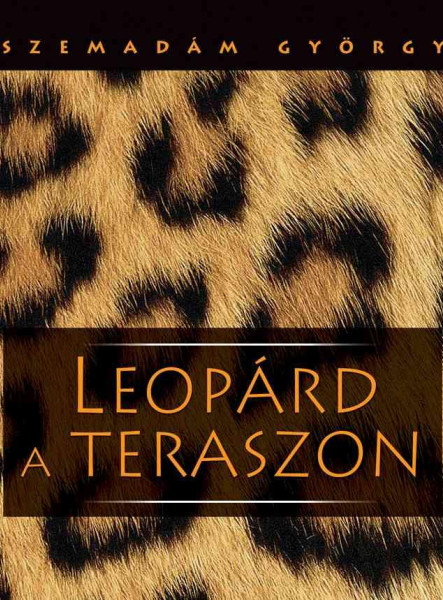 LEOPÁRD A TERASZON (AFRIKAI ÚTIKÉPEK)