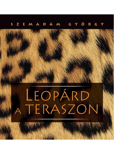 LEOPÁRD A TERASZON (AFRIKAI ÚTIKÉPEK)