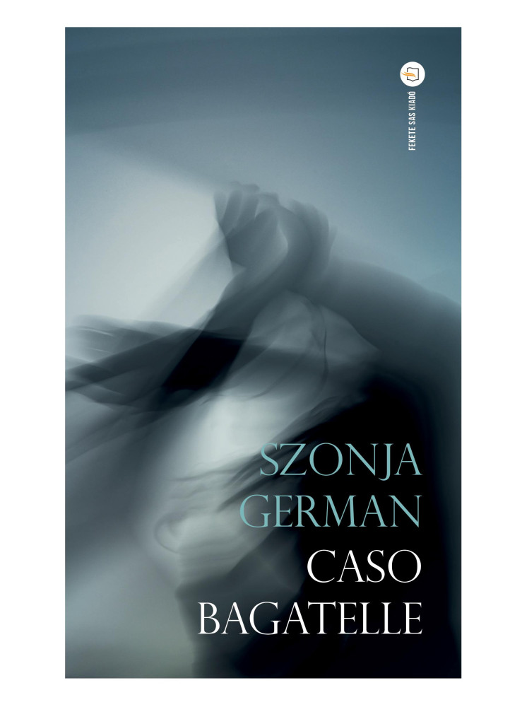 CASO BAGATELLE CASO BAGATELLE