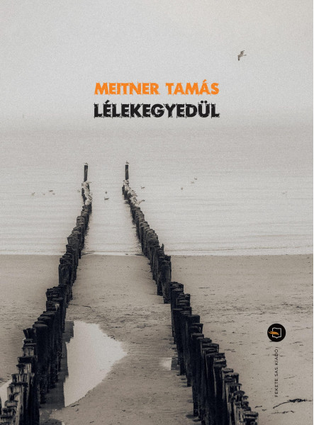 LÉLEKEGYEDÜL