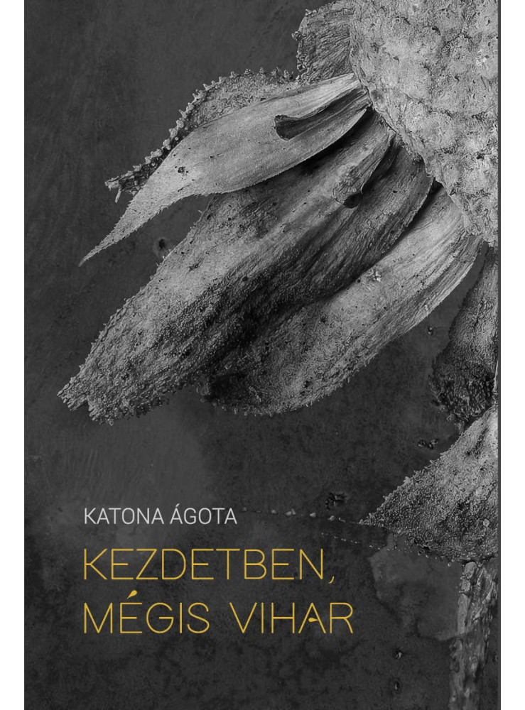 KEZDETBEN, MÉGIS VIHAR