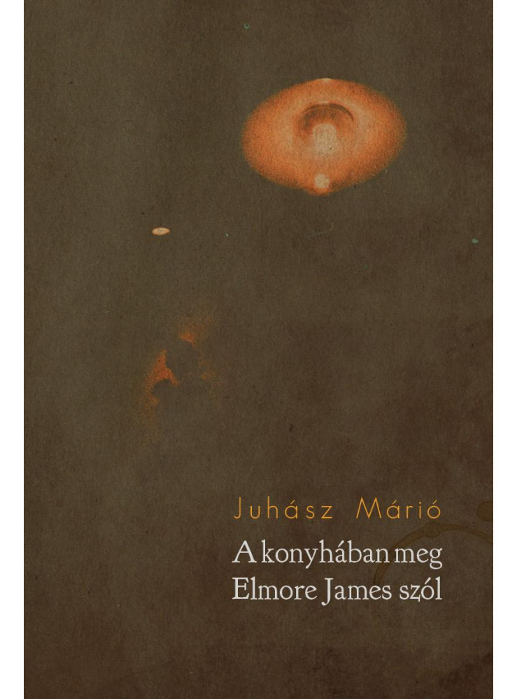 A KONYHÁBAN MEG ELMORE JAMES SZÓL A KONYHÁBAN MEG ELMORE JAMES SZÓL